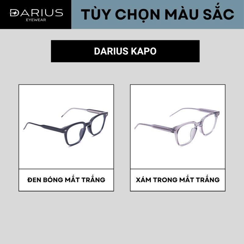 GỌNG KÍNH CẬN UNISEX DARIUS KAPO